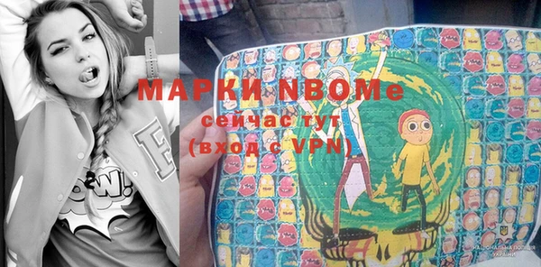 ешки Алексин
