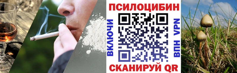 площадка какой сайт  закладки  Волгоград  Галлюциногенные грибы GOLDEN TEACHER 